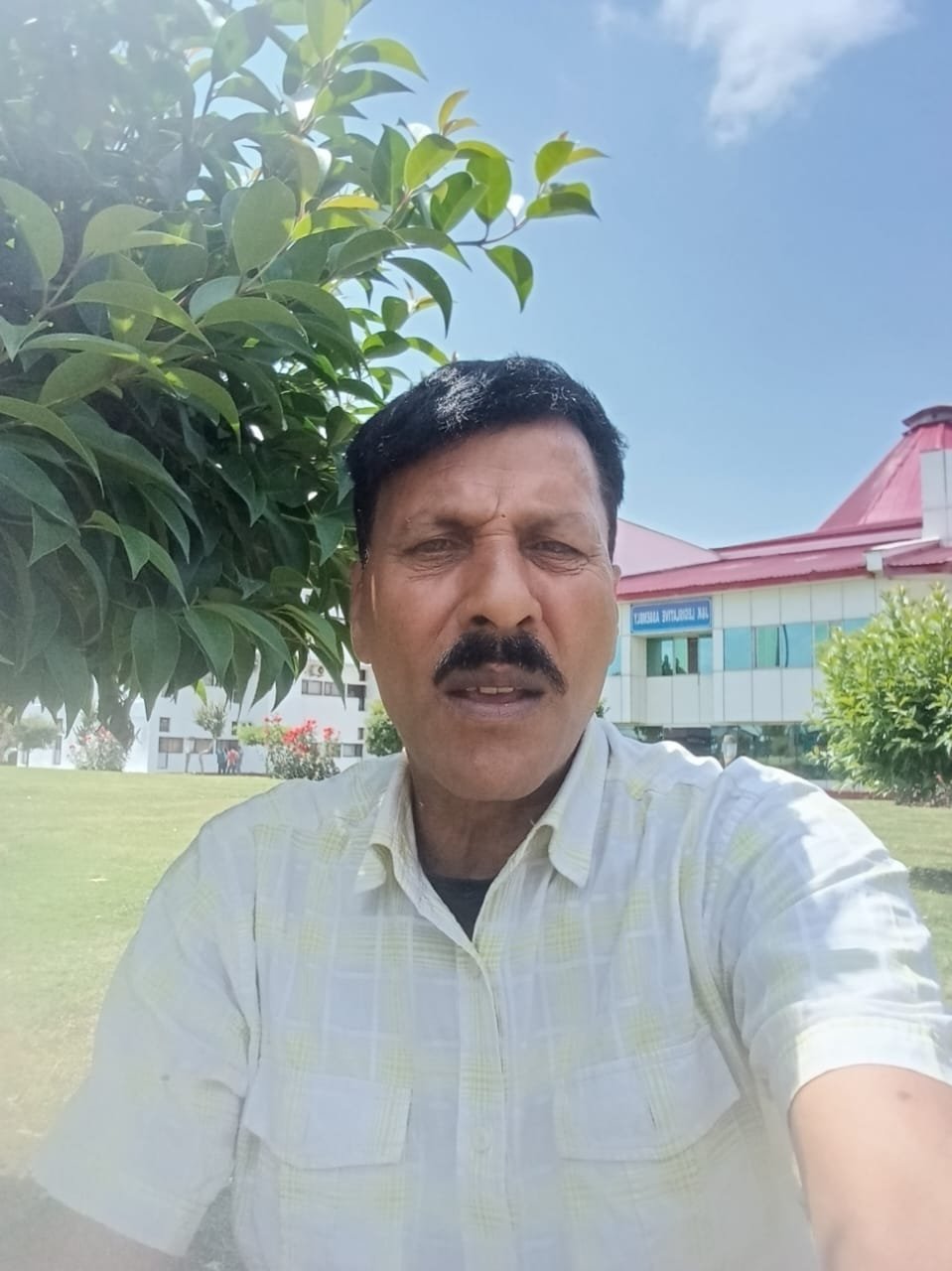Mujurdin 